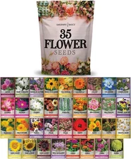 Gardeners Basics, Flower Seeds Packets for Planting 35 Individual Brown 