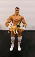 WWE Mattel Elite Series 12 Alberto Del Rio Wrestling Figure Chihuahua Dog AAA