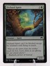 Orchard Spirit | Magic Origins | Pauper Bogles Staple | MTG Evasion Spirit | LP