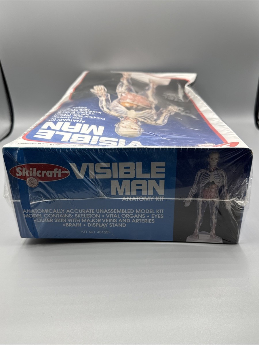 Vintage Skilcraft Visible Man Anatomy Model Kit (40155) Sealed Box