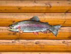 Rainbow Trout Replica - 26 Inch 2D Realistic Trout Fish Art, Rustic Wall Decor