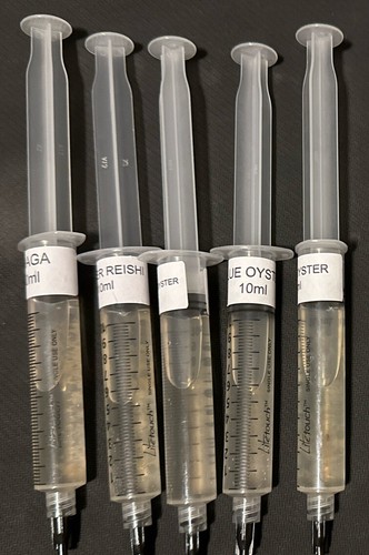 5 Pack Of Functional Mushroom Liquid Culture Syringes