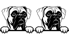 Boxer - Two 5" Black Vinyl Graphic Decals Car Truck Windows Laptop Notebook