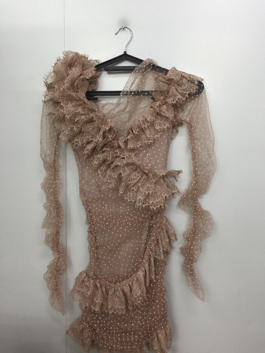 chinese dress ladies Sail to Sable Blush Ruffle Front Scalloped Hem Mini Dress Blush / XL / PBSP2404B main image 0