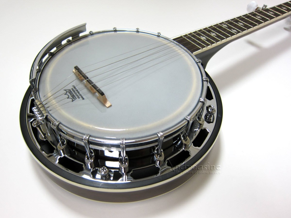 弦楽器 Gold Tone Bluegrass mini Banjo BGMini BG-Mini: Bluegrass Mini Banjo with Case | Gold Tone Music Group