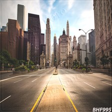 Cityscape 10'x10' Computer-painted CP Scenic Photo Background Backdrop BHF995