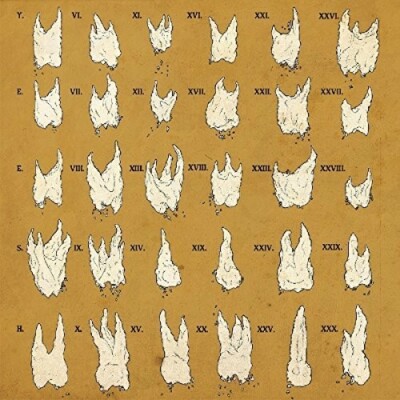 Confirmation Bias by Yeesh (Record, 2016)