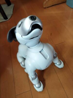 Sony AIBO ERS-1000 AI Robot Dog Ivory White w/ Charger Used From