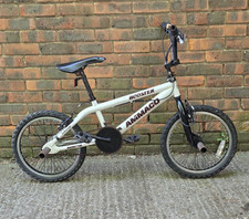 eBay Auction Picture