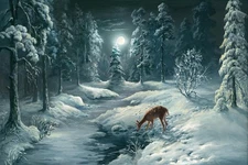 Deer in Snowy Winter Night Forest Cool Wall Art Print Poster 16x24