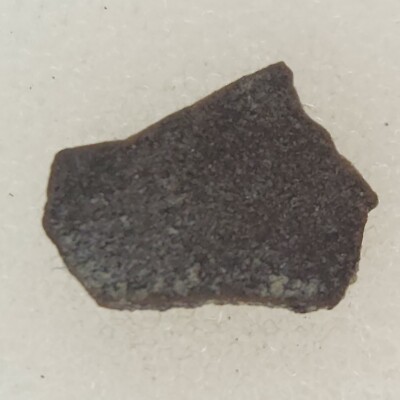 Unidentified Dinosaur Egg Shell Fossil (Orodromeus?) - Two Medicine Fm. - MT