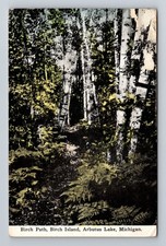 Arbutus Lake MI-Michigan Birch Path Birch Island Vintage Postcard