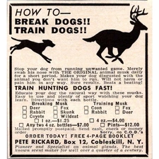 Pete Rickard Training Musk Train Hunting Dogs Fast Cobleskill NY 1966 Ad SAH8-3