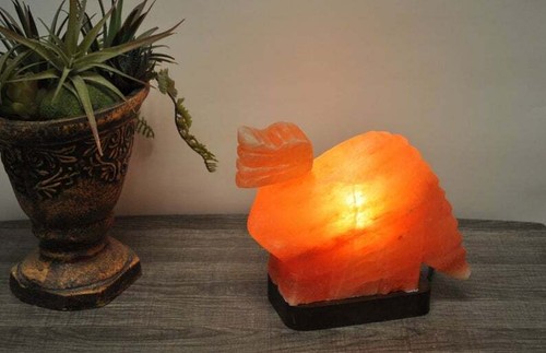 Dinosaurs Himalayan Pink Salt Shape Lamp, Dimmer Switch, Home Decor - Picture 3 of 5
