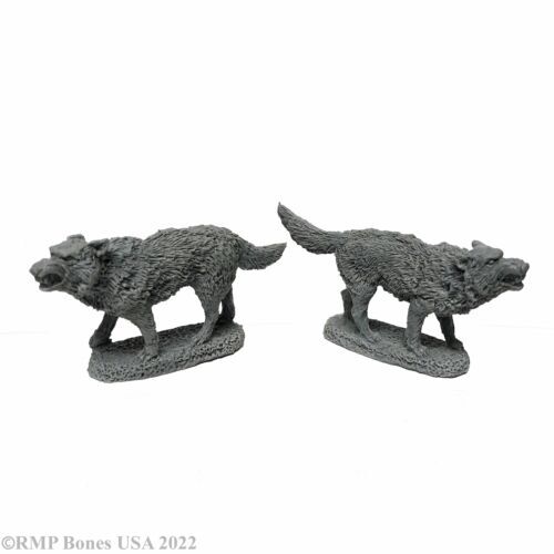 Figurine Reaper Miniatures Dungeon Dweller A-z/07112 - Reaper Figurine Reaper Miniatures Dungeon Dweller A-z/07112 - Reaper