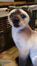 OH so REAL Cat Plush Siamese Cat  Looks Like my own Snowshoe Siamese