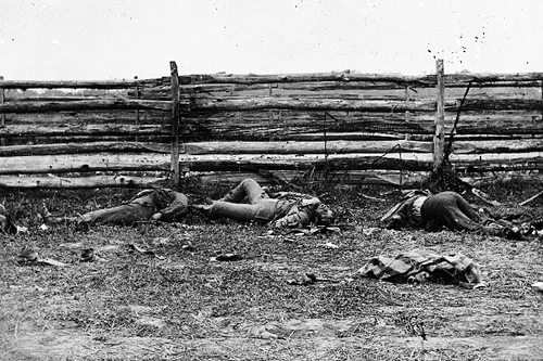 New 5x7 Civil War Photo: Rebel Dead by Fence at Antietam - Sharpsburg Battle