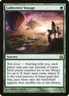 1x Collective Voyage NM Eng MTG - Commander 2011