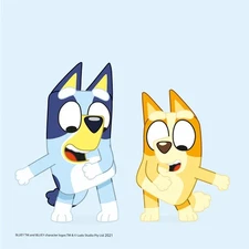 amscan Bluey Lunch Dinner Napkins Birthday Party Officially Licensed 16pc