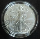 2025 W American Silver Eagle $1 Coin .999 Fine UNC "Burnished" in OGP w/COA
