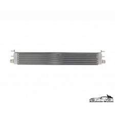 Ölkühler für Mercedes W220 5.6 W221 V221 6.0 C215 5.5 SL R129 R230 00-13 Ölkühler für Mercedes W220 5.6 W221 V221 6.0 C215 5.5 SL R129 R230 00-13
