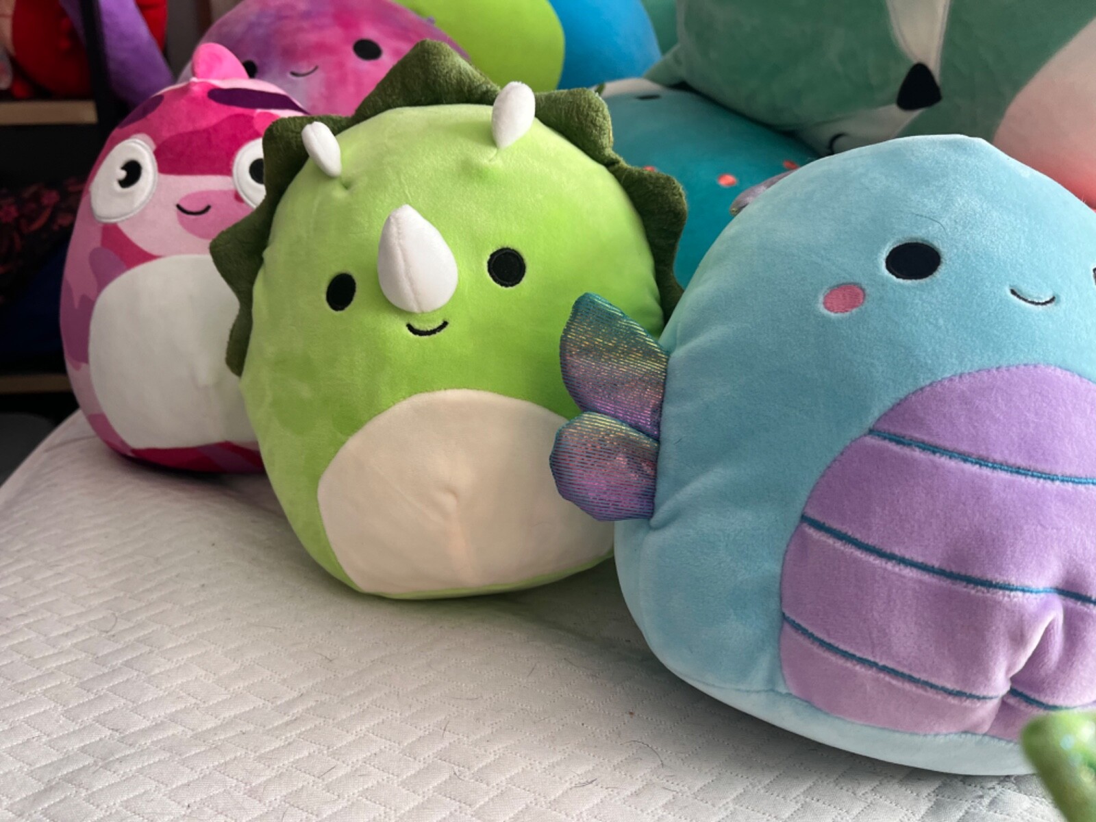 Squishmallows Collection: Rares selling for cheap - used but good ...