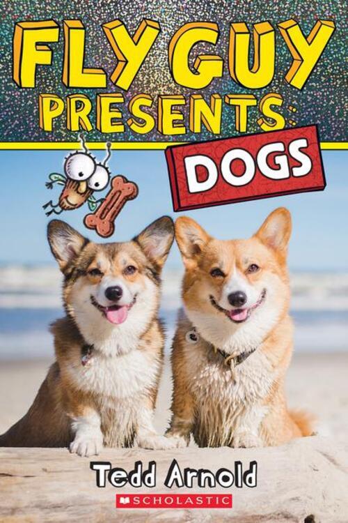 Thumbnail - Fly Guy Presents: Dogs | Tedd Arnold | Taschenbuch | Englisch | 2022