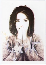 Postcard - Björk - Debut (1993) - unposted - printed in England - Icelandic star