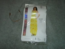 Be Wicked! Southern Princess Costume W/ Tiara Adult Size S/M