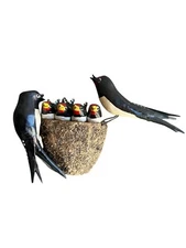 Austrian Black Forest Swallows with Nest and Babies Folk Art