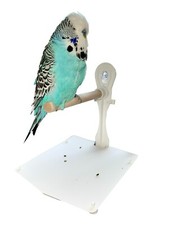 Bird Perch With Droppings Tray, Portable Suction Cup Stick On Bird Perch