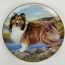 Shetland Sheepdog Collector's Plate Summer Outing By Edward Aldrich