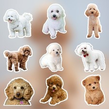 Poodle Stickers-Waterproof Die-Cut Vinyl Stickers-9 PCS Stickers