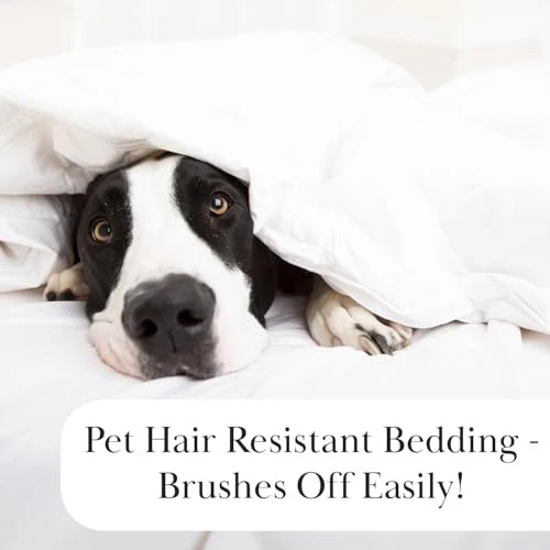 Juego de edredón King con 2 fundas de almohada, King / California King 08 - azul corona Foto 4 de 4