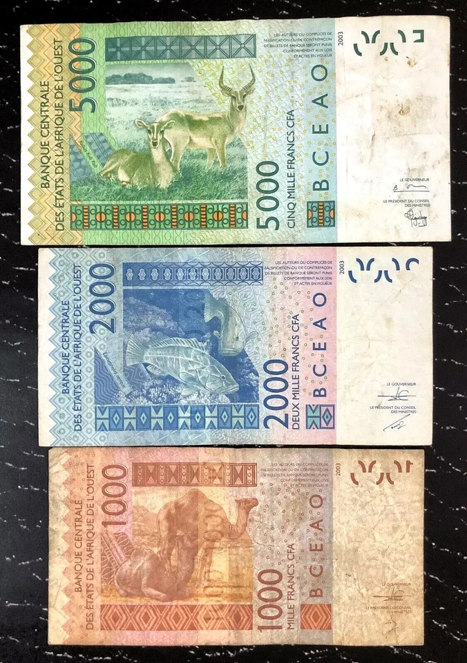 2003 COTE D'IVOIRE (IVORY COAST) - 1000, 2000, 5000 FRANCS - VF+ - MB5 - Image 2 of 2
