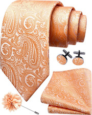 3.15"  8cm  Mens Tie and Lapel Pin Paisley Necktie Hankerchief Cufflinks Set for