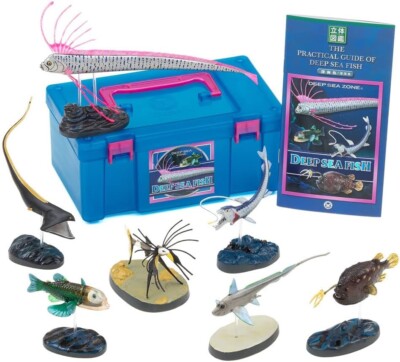 Colorata 3D Visual Dictionary Real Figure Box Deep Sea Fish