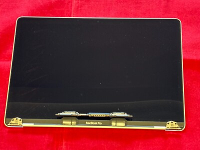 Apple MacBook Pro 13'' A1989 A2159 A2251 A2289 Silver lcd Screen Lines