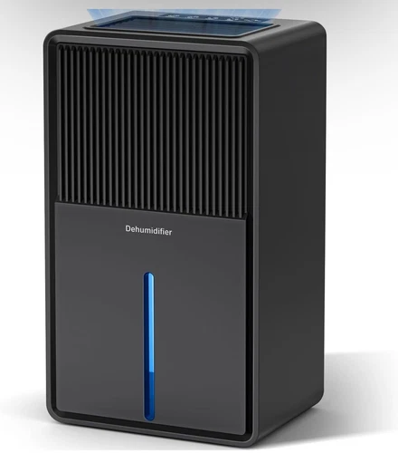 Dehumidifier Deals: Compressor vs Desiccant & Pints Guide