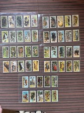 1962 African Wild Life Trade Cards Brooke Bond Tea PG Tips Full Set x 50
