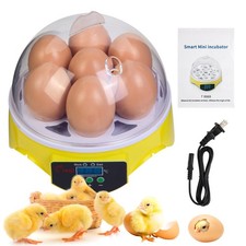7-Egg Incubator 360  View Poultry Incubator with Manual Temperature Control f...