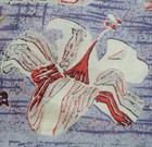 Bild 11 von 13