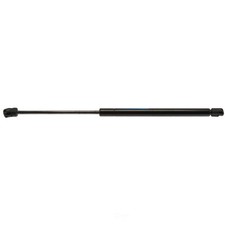 Liftgate Lift Support Strong Arm 6510 fits 04-07 Chevrolet Malibu