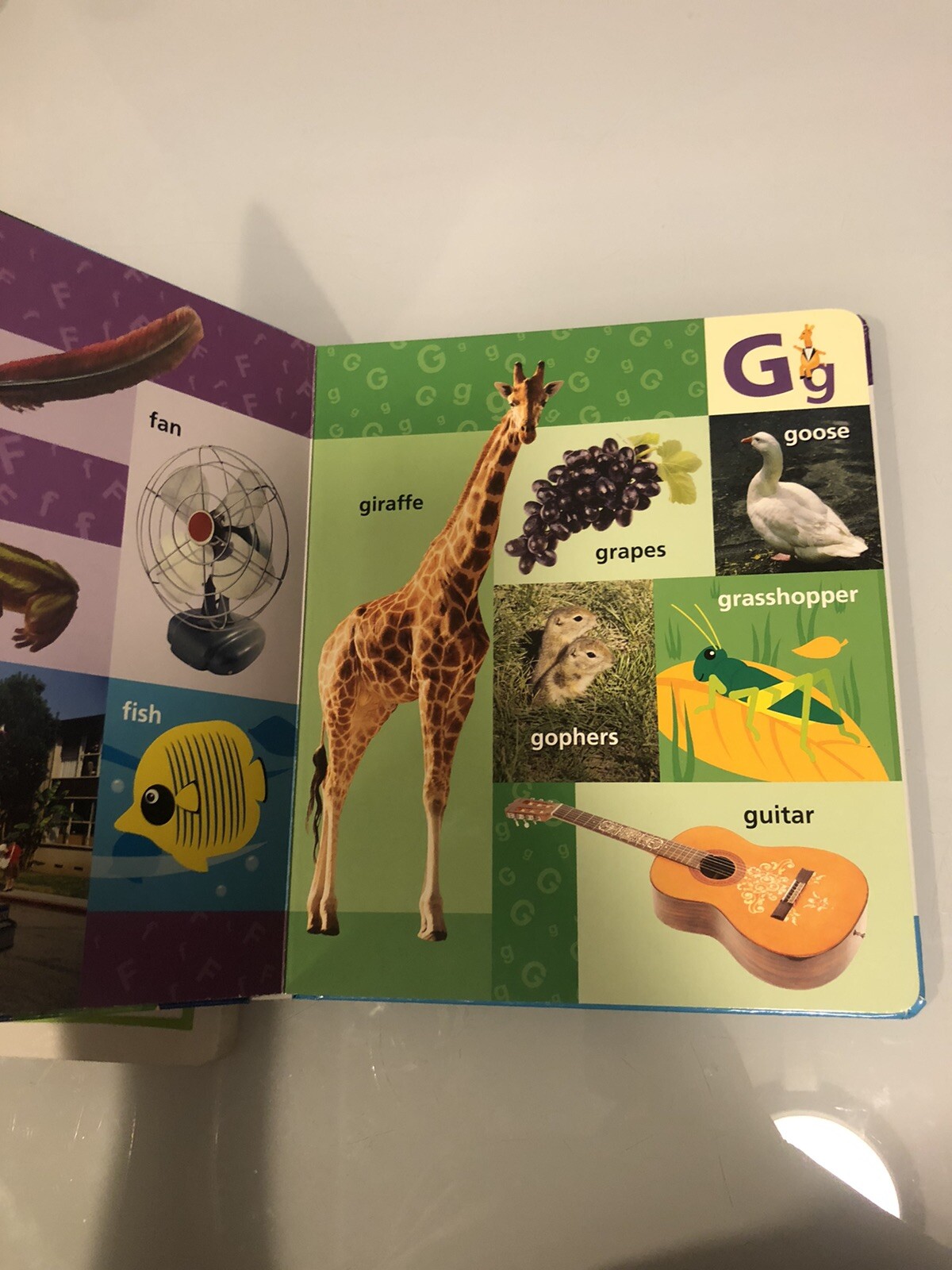 Baby Einstein First Alphabet Book (Disney, Baby Einstein) And ABC