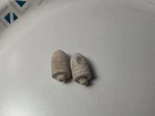 Dug Civil War era William type 2 cleaner bullets
