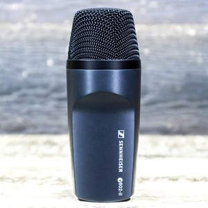 Sennheiser E602 II | eBay