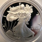 2005 W American Eagle One Ounce Silver Proof Coin in OGP with COA