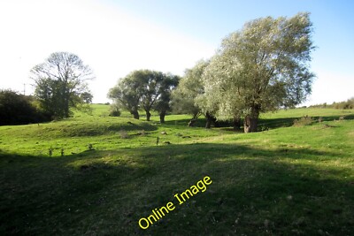 Foto 6x4 Bäume am ausgetrockneten Ochsenbogensee North End \/SP9749 c2014