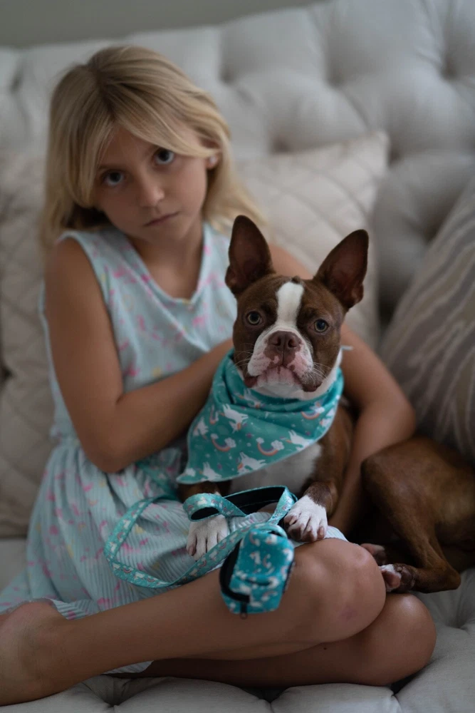 Dog Harness No-Pull with Leash set