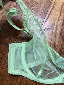 Agent Provocateur Mint Green Mesh Tulle Bra 32C